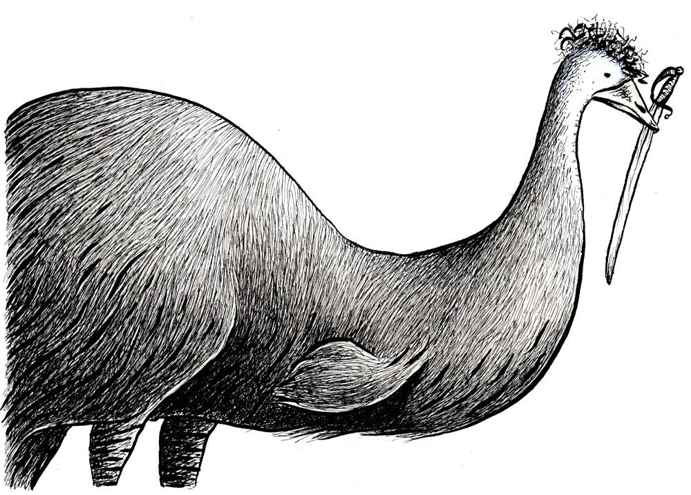 Illustrazione interna, Piume Libere